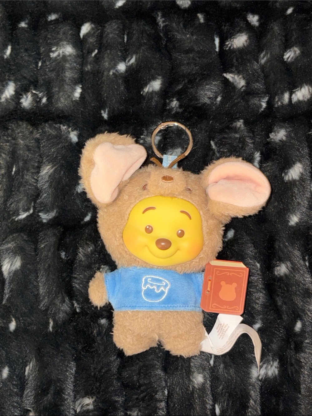 MINISO Winnie the Pooh Animal Storybook Series Pendant Keychain (SECRET)